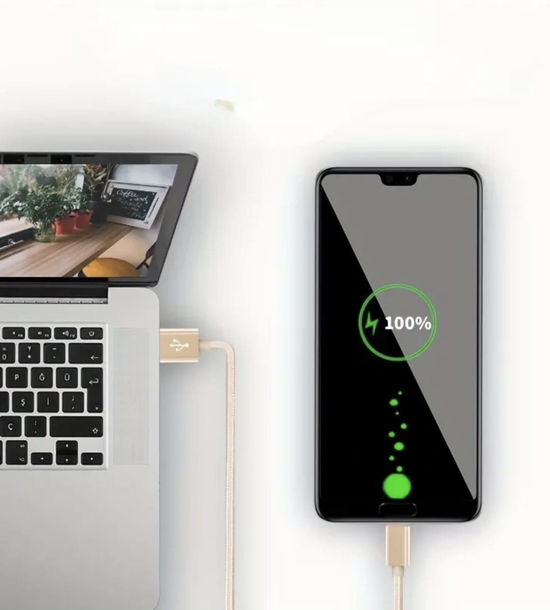 USB Type-C Fast Charging Cable