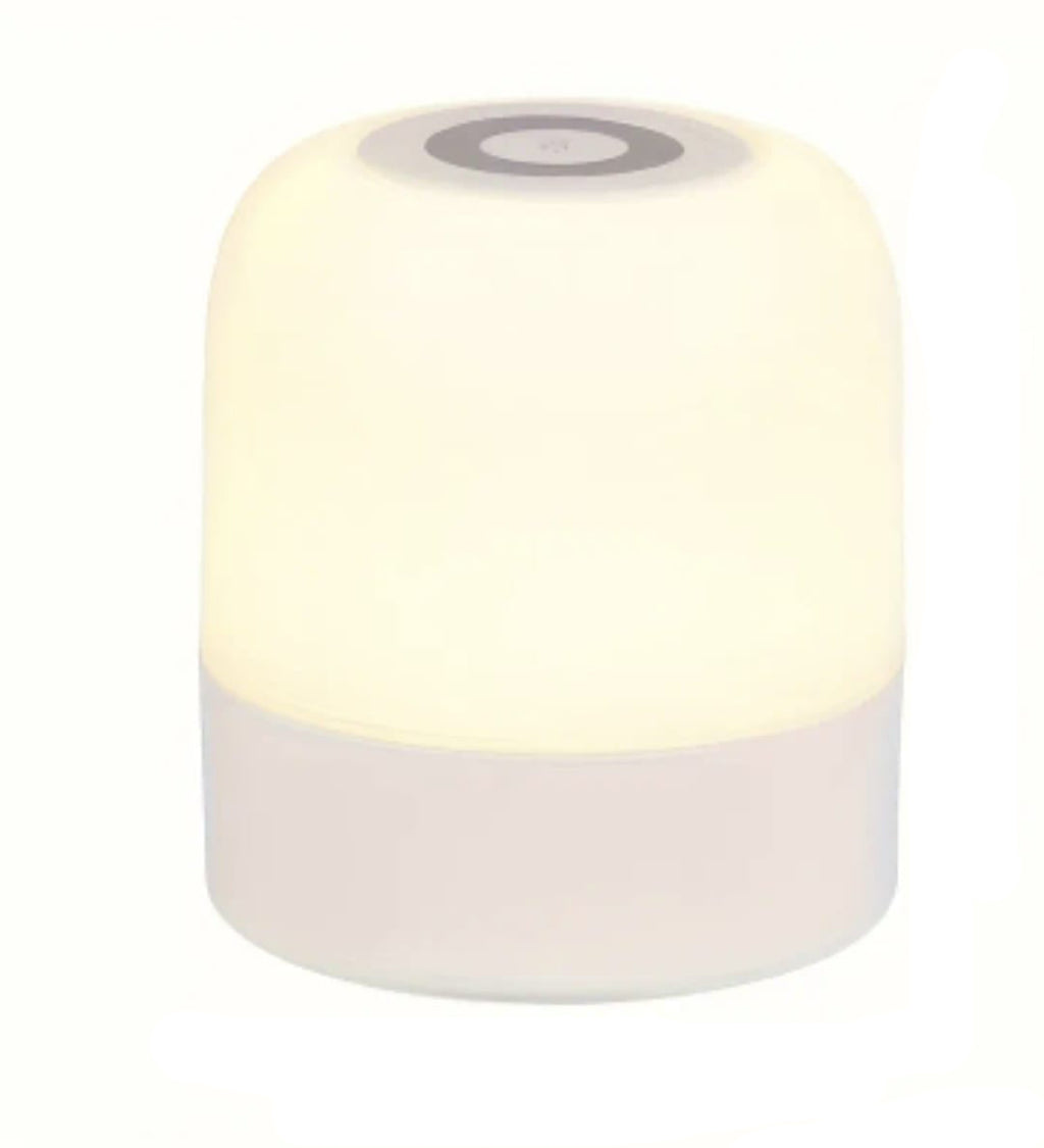 Portable LED Touch Desk Lamp USB-C Rechargeable