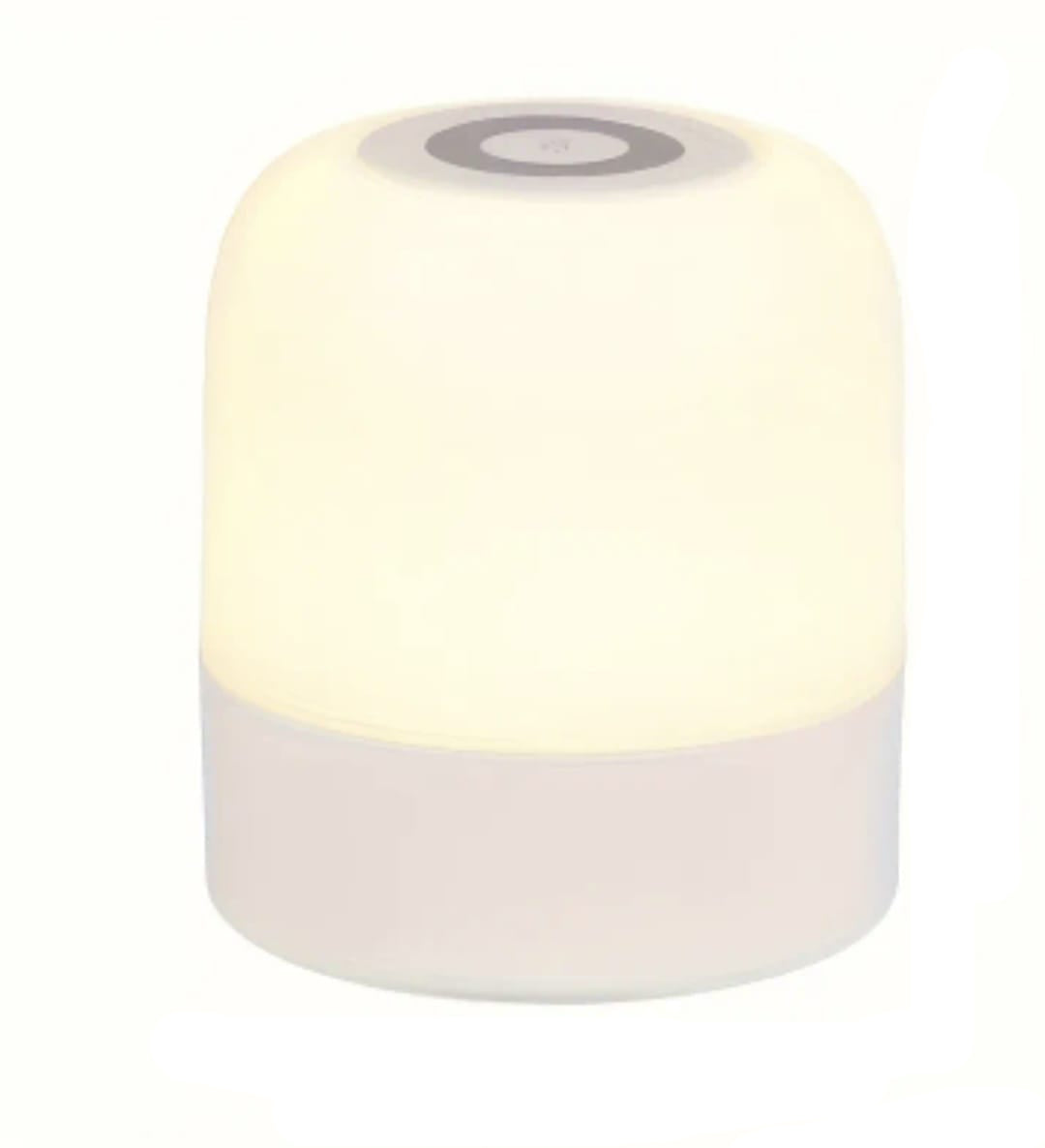 Portable LED Touch Desk Lamp USB-C Rechargeable