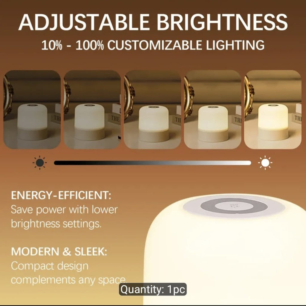 Portable LED Touch Desk Lamp USB-C Rechargeable