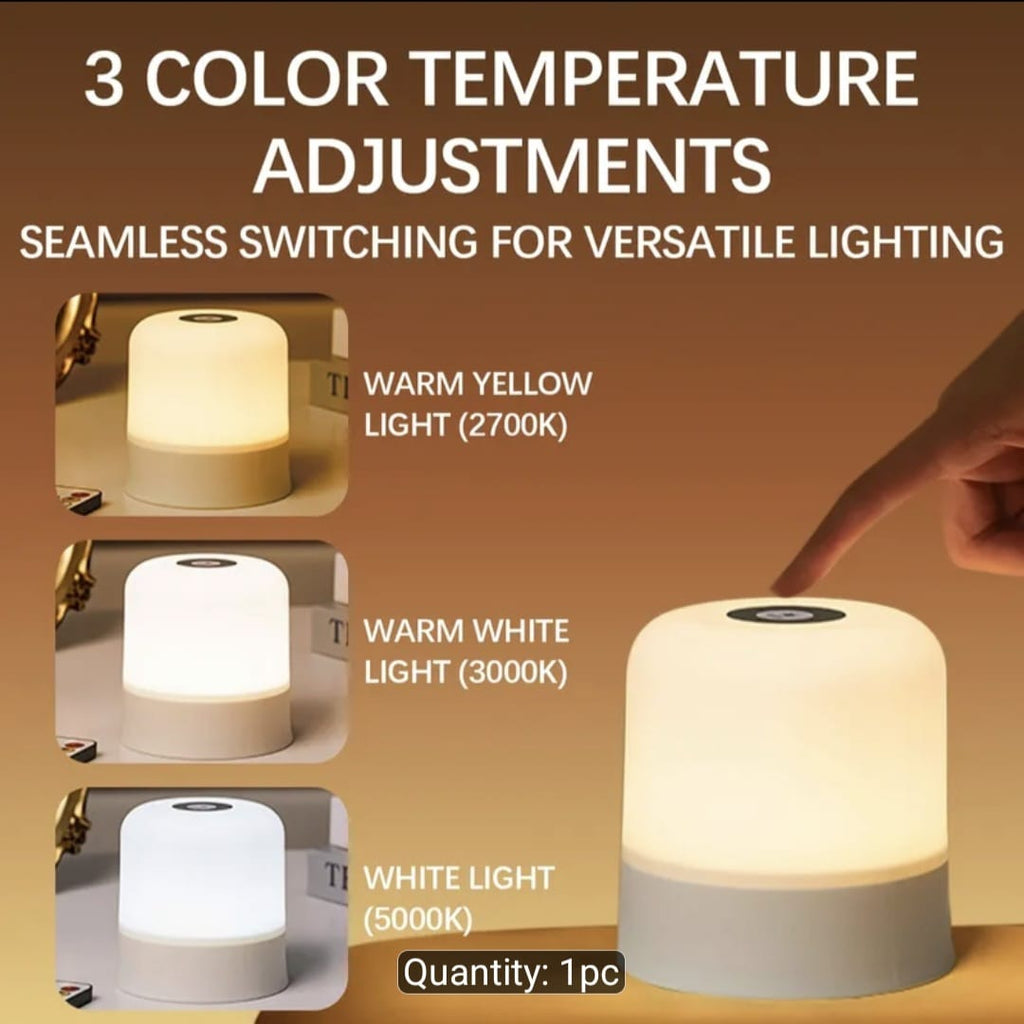 Portable LED Touch Desk Lamp USB-C Rechargeable